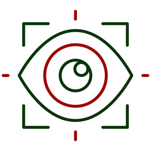 vision icon